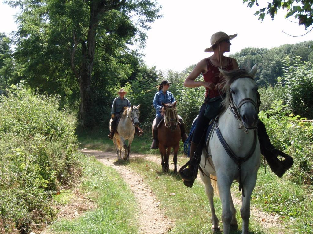 Le Trot'In Chair Bed & Breakfast Martigny-le-Comte Bagian luar foto