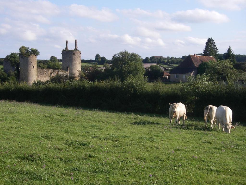 Le Trot'In Chair Bed & Breakfast Martigny-le-Comte Bagian luar foto